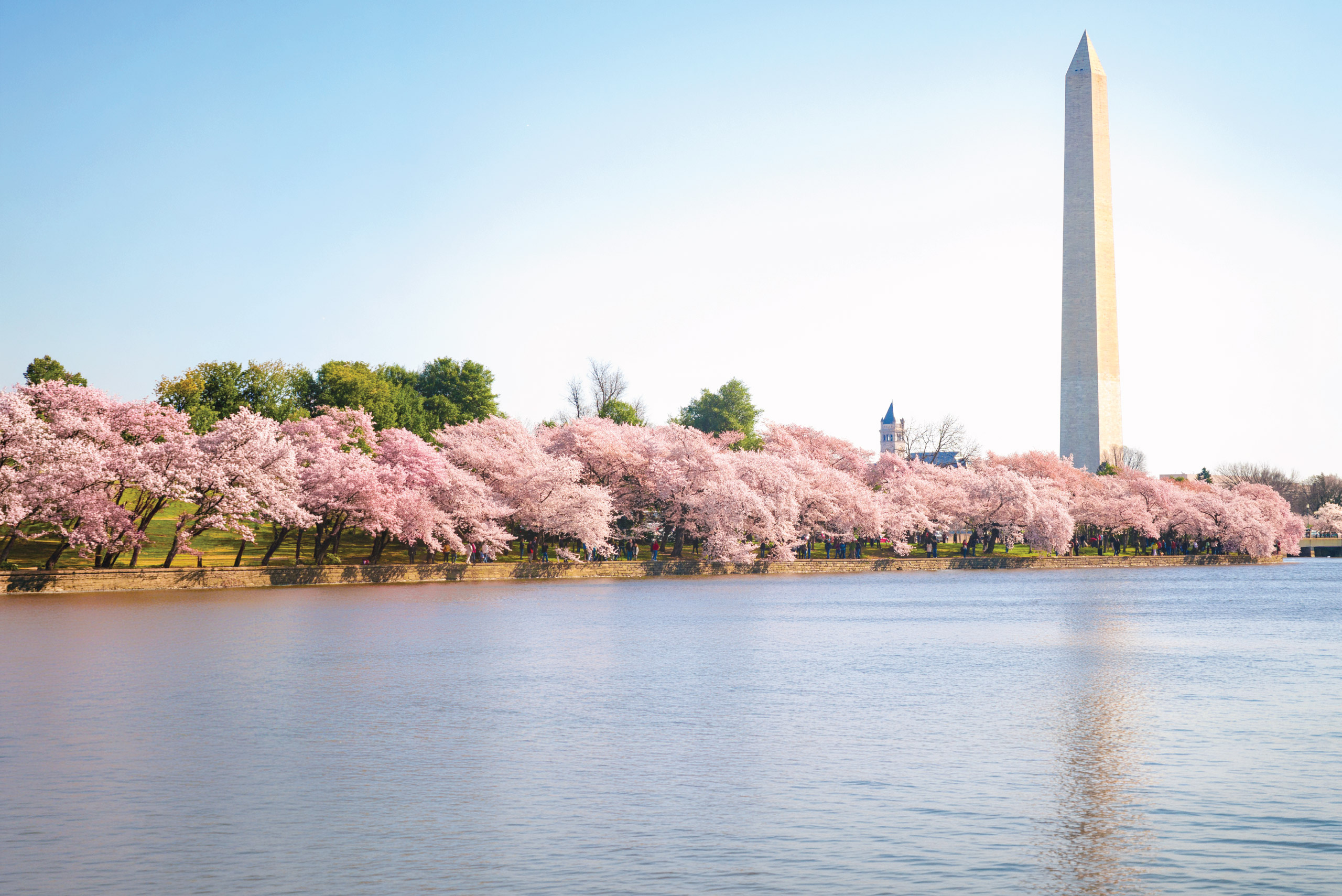 米国特許法律事務所
IPUSA